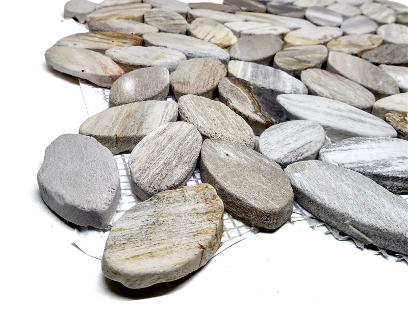 SLICED OVAL FOSSIL TILE